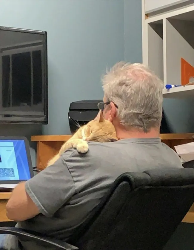 Memes For Cat Lovers (20 pics)