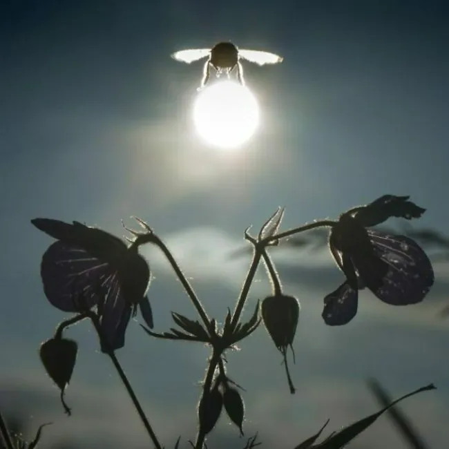 Right Moment (23 pics)