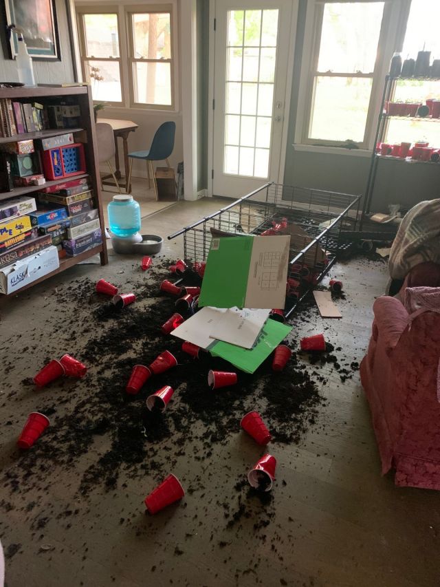 Unfortunate Situations (25 pics)