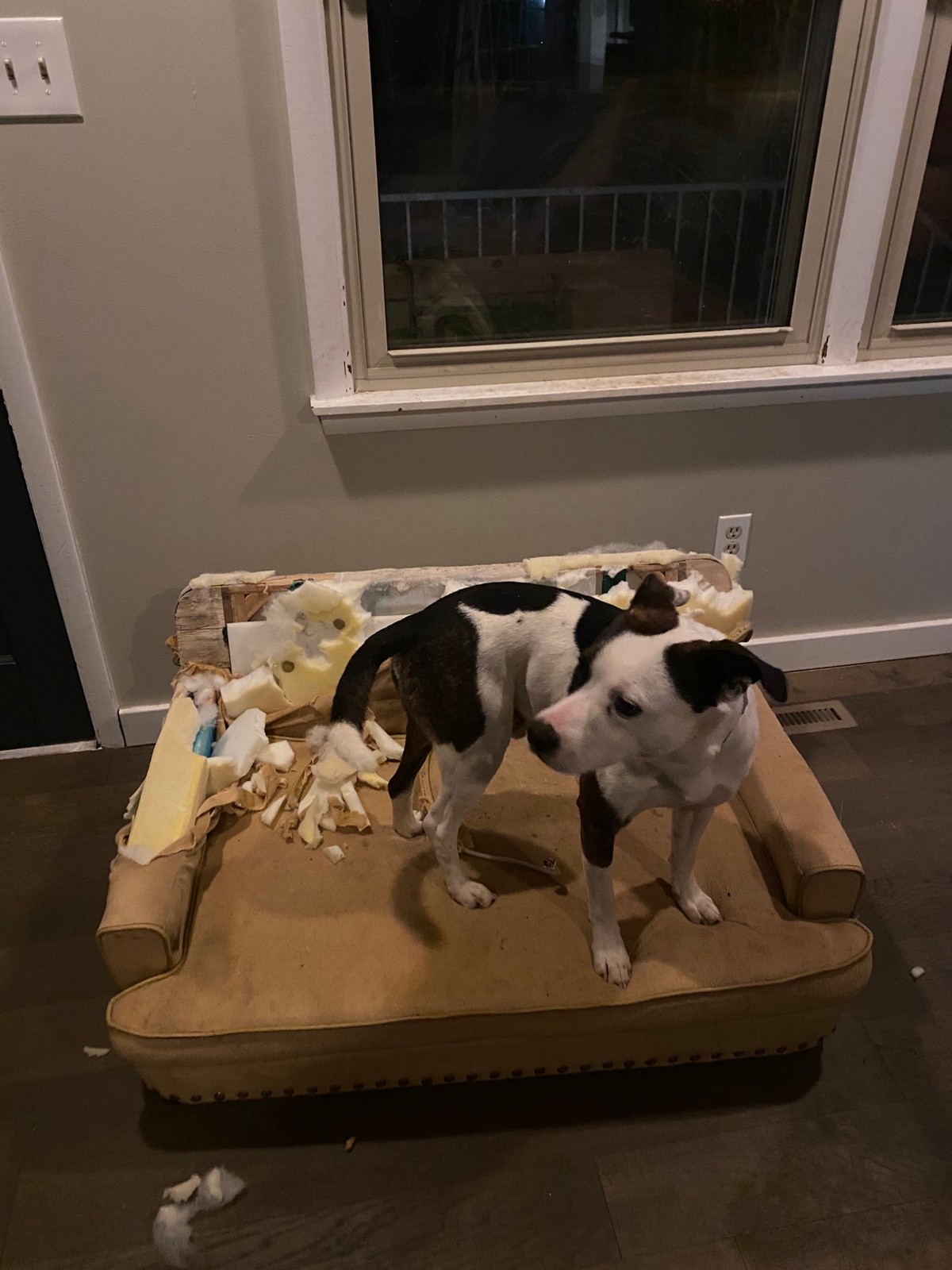 Unfortunate Situations (25 pics)