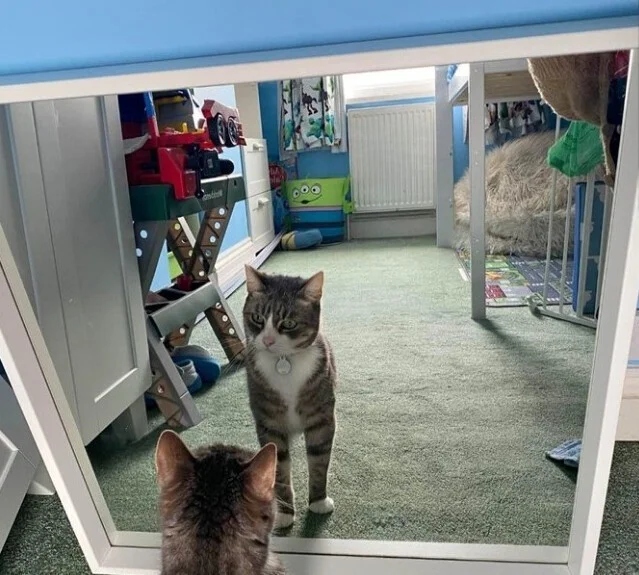 They're Trying To Sell Mirrors (21 pics)