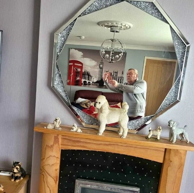 They're Trying To Sell Mirrors (21 pics)