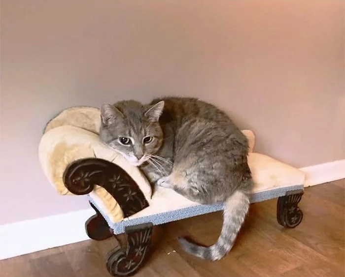 Cool Finds In Thrift Shops (23 pics)