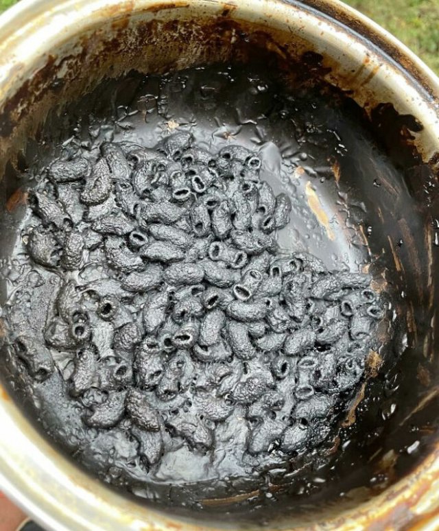 Culinary Fails (17 pics)