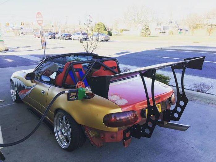 Daily Pictures. Part 1 (76 pics)