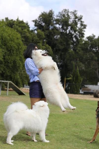 Daily Pictures. Part 1 (76 pics)