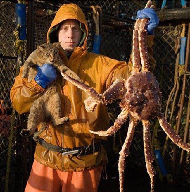 Daily Pictures. Part 1 (76 pics)