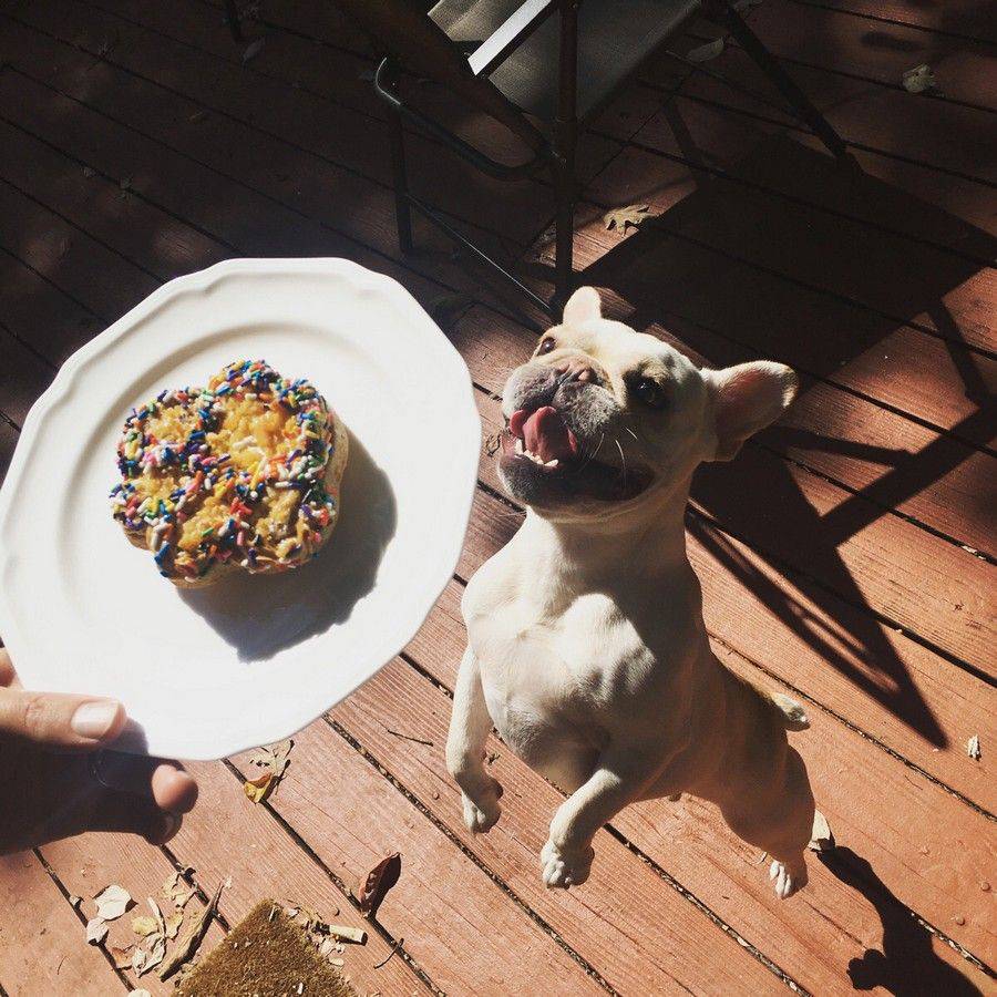 Daily Pictures. Part 1 (76 pics)