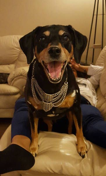 Daily Pictures. Part 1 (76 pics)