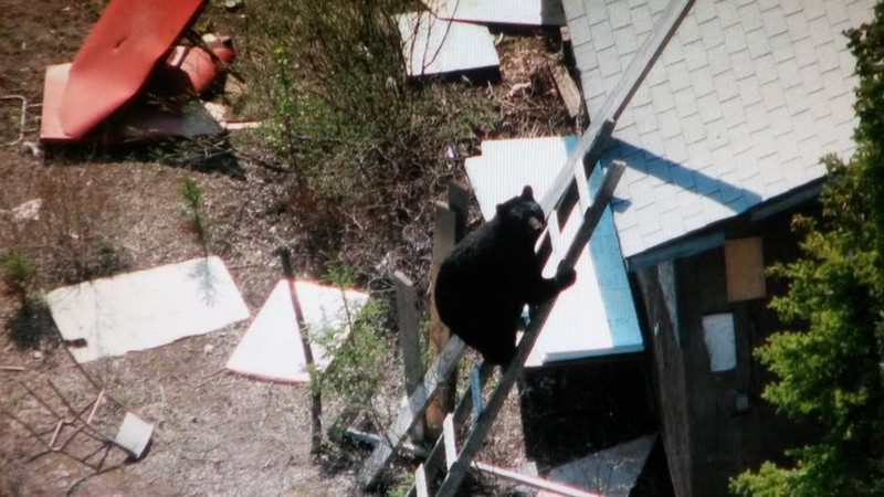 Daily Pictures. Part 1 (76 pics)