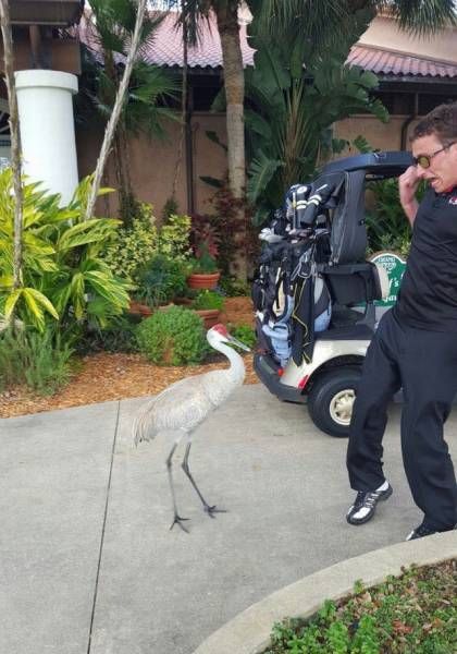 Daily Pictures. Part 1 (76 pics)