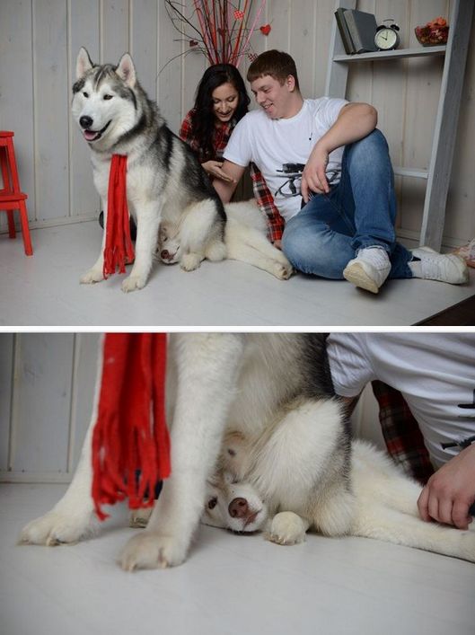 Daily Pictures. Part 1 (76 pics)