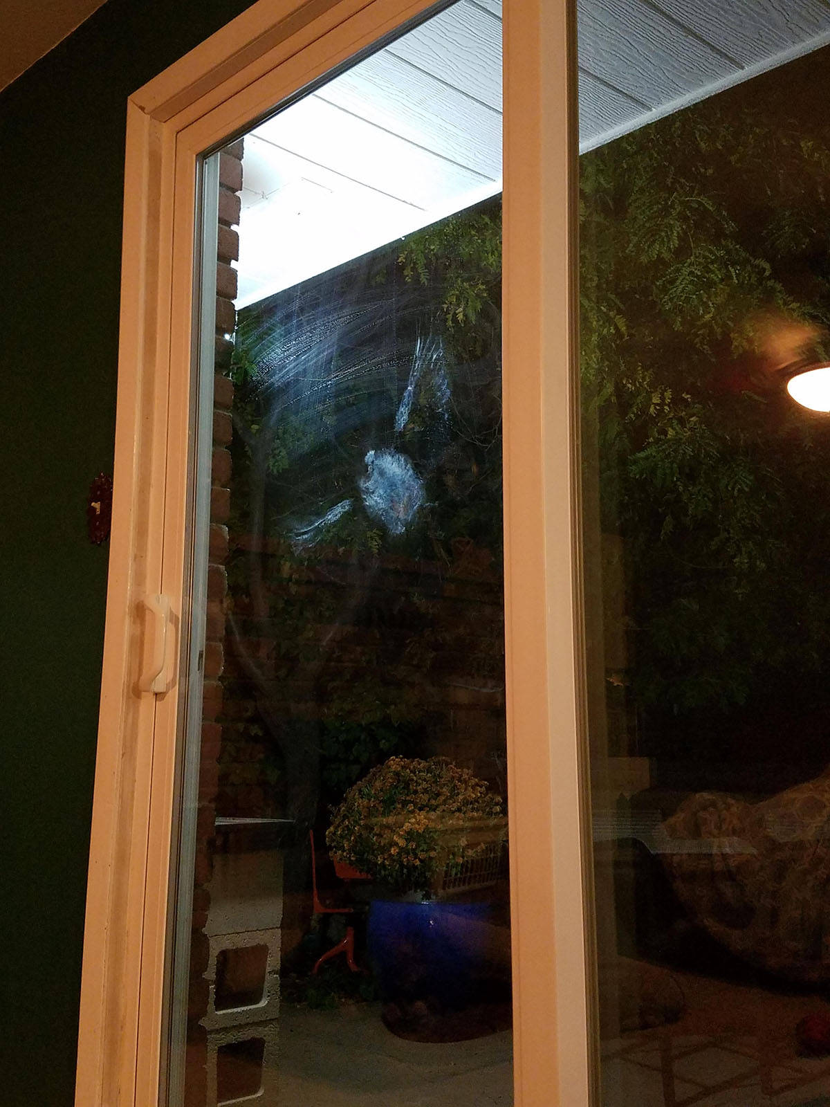 Daily Pictures. Part 1 (76 pics)