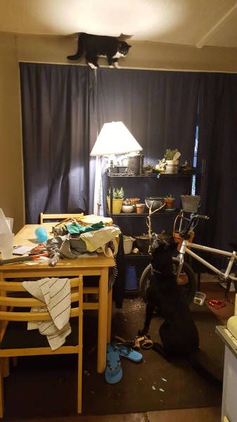 Daily Pictures. Part 1 (76 pics)