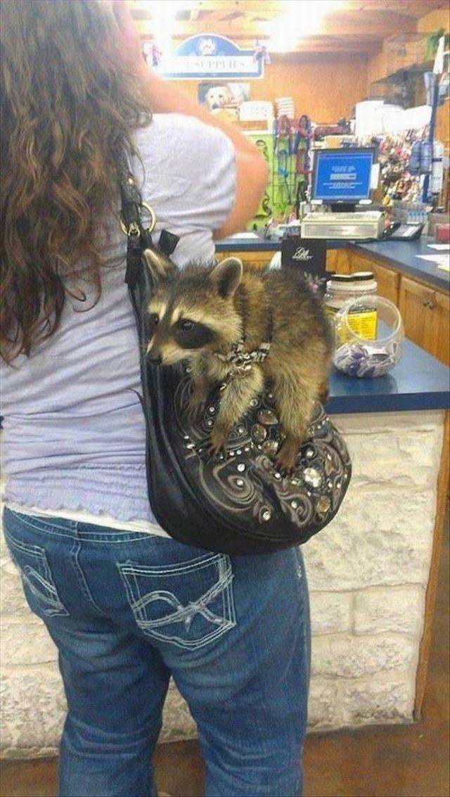 Daily Pictures. Part 1 (76 pics)