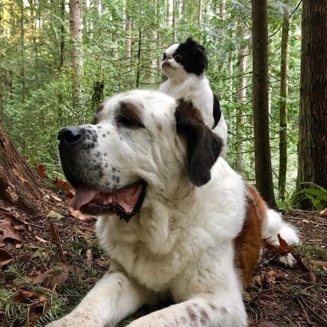 Daily Pictures. Part 2  (75 pics)