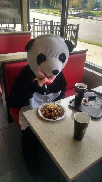 Daily Pictures. Part 2  (75 pics)