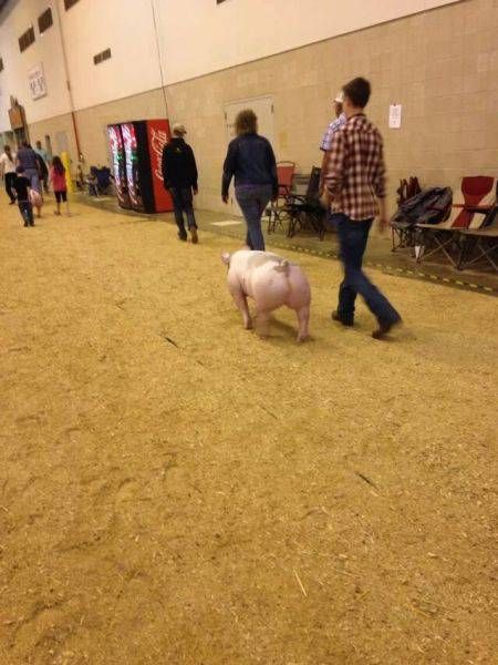 Daily Pictures. Part 1 (76 pics)