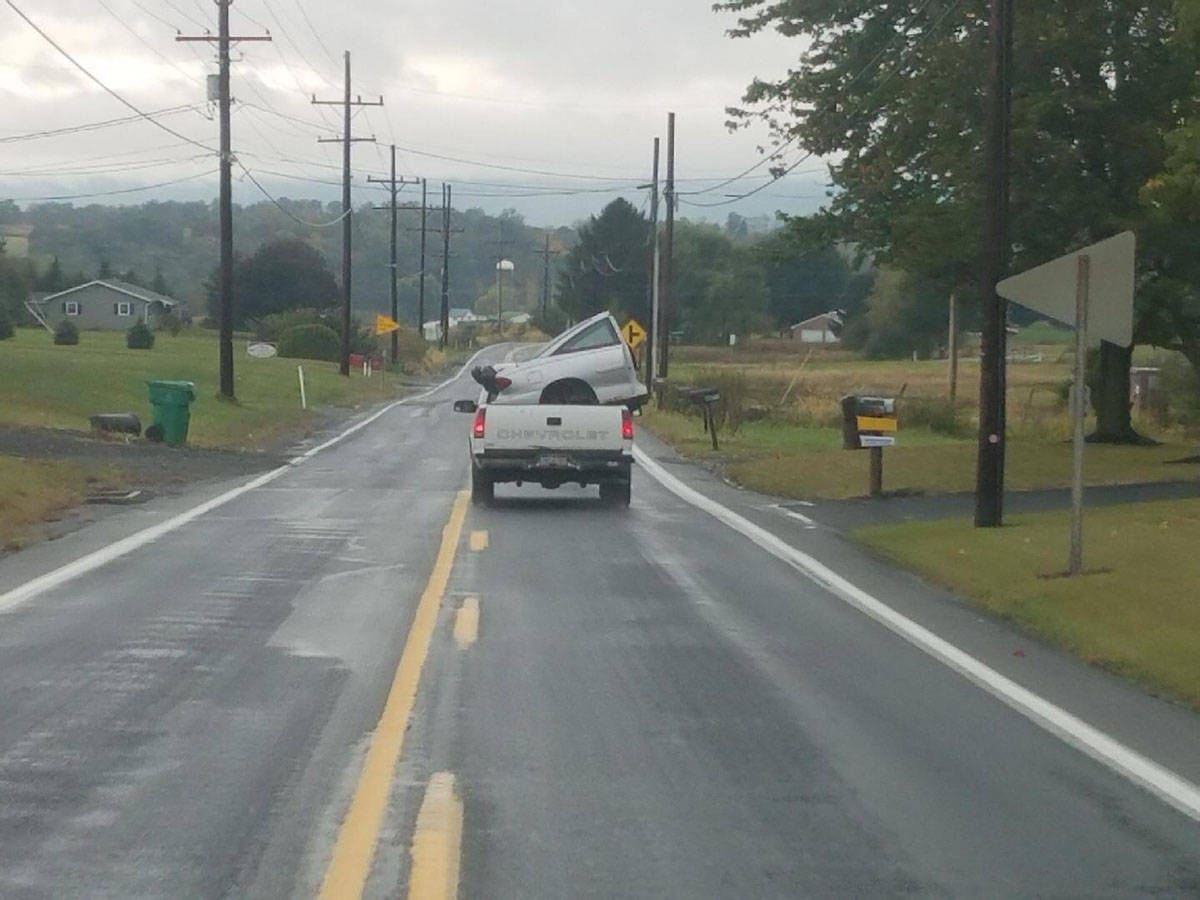 Daily Pictures. Part 2  (75 pics)