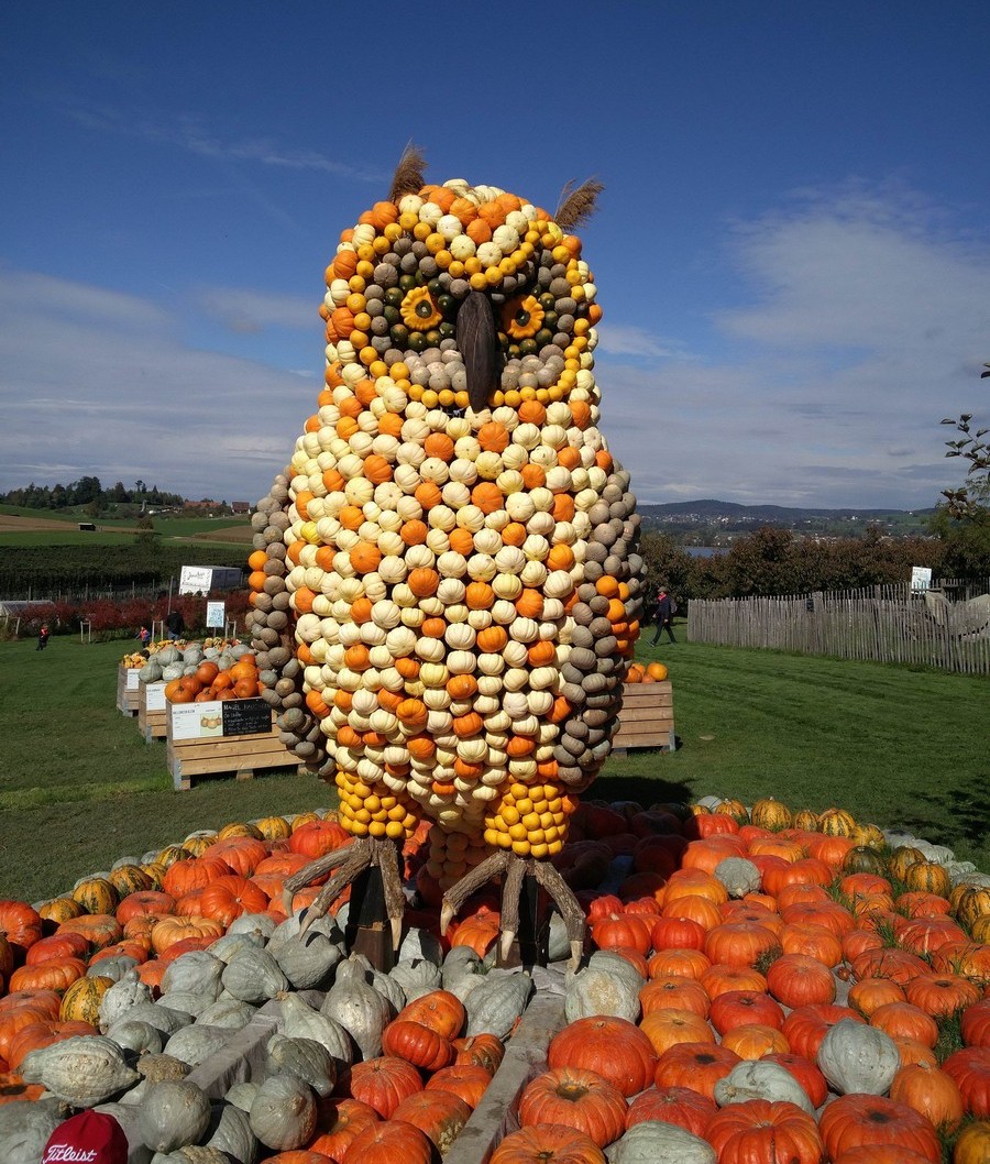 Daily Pictures. Part 2  (75 pics)