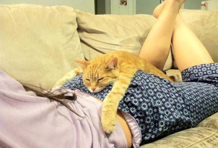 Daily Pictures. Part 1 (76 pics)