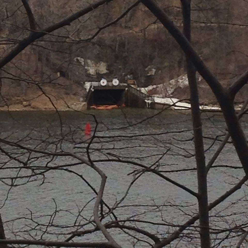 Daily Pictures. Part 2  (75 pics)