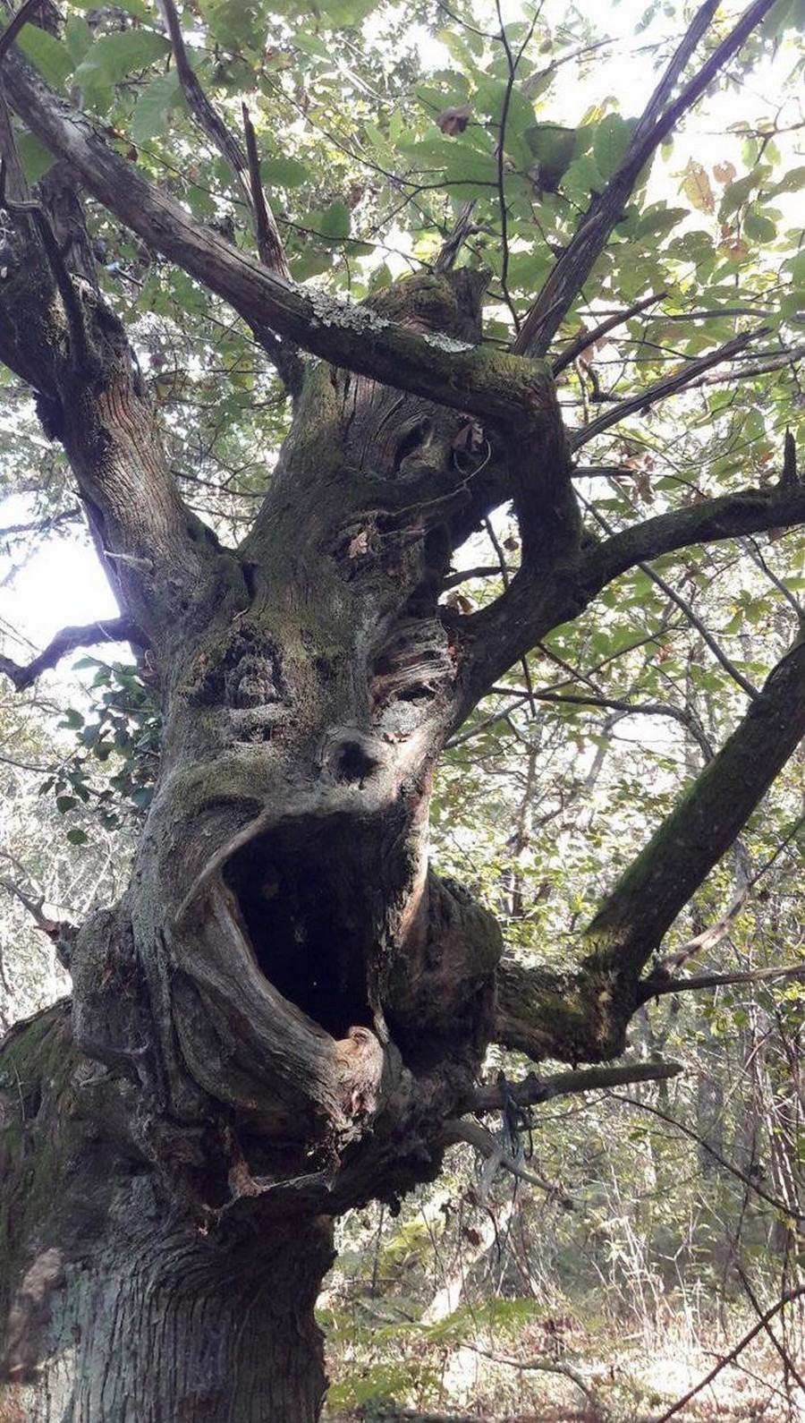 Daily Pictures. Part 2  (75 pics)