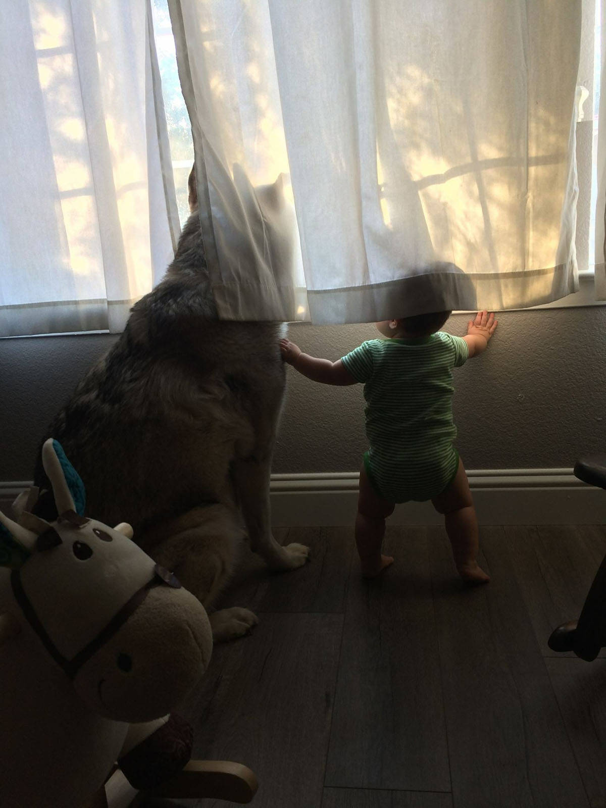 Daily Pictures. Part 2  (75 pics)