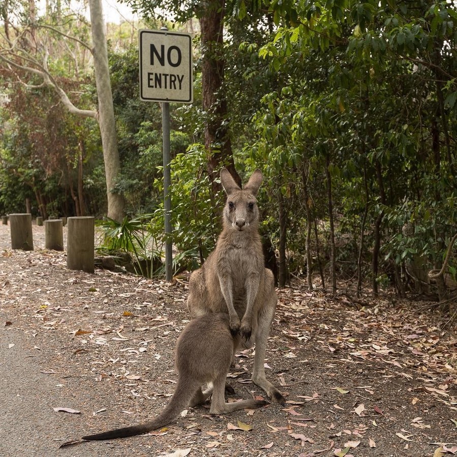 Daily Pictures. Part 2  (75 pics)