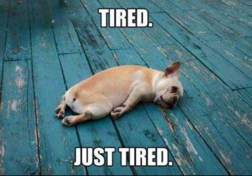 Daily Pictures. Part 2  (75 pics)