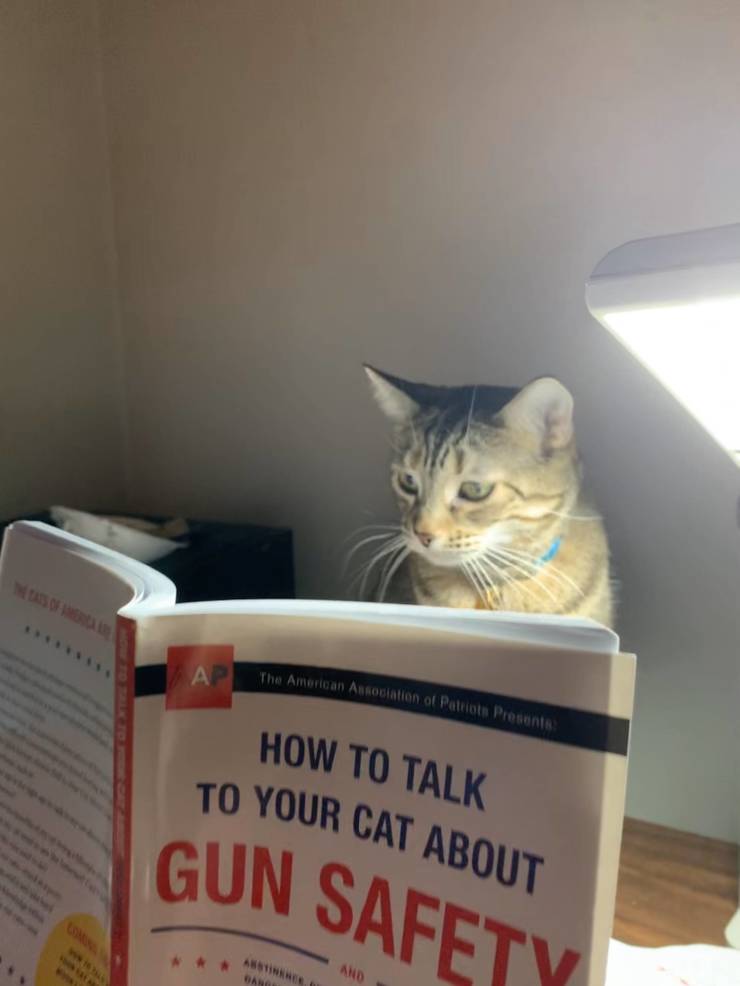 Daily Pictures. Part 2  (75 pics)