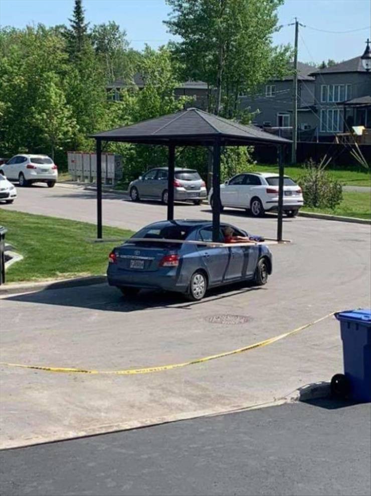 Daily Pictures. Part 2  (75 pics)