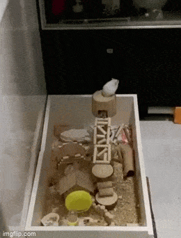 Acid GIFs, April 1 (25 gifs)