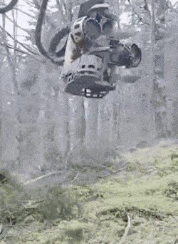 Acid GIFs, April 1 (25 gifs)