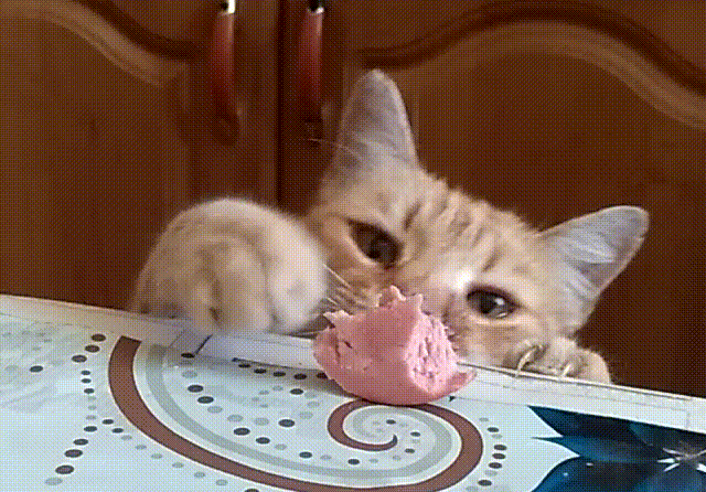 Acid GIFs, April 1 (25 gifs)