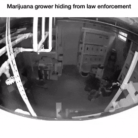 Acid GIFs, April 1 (25 gifs)