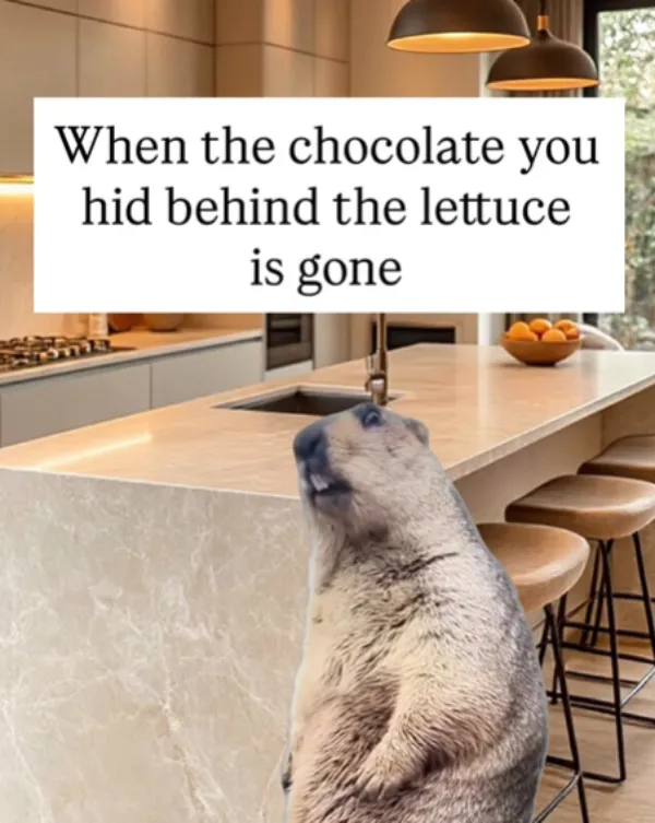 Funny Memes (23 pics)