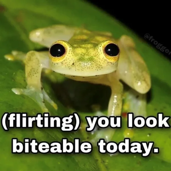 Funny Memes (23 pics)