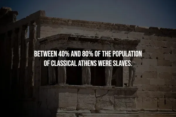 Random Facts (14 pics)