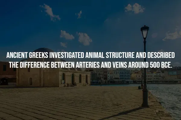Random Facts (14 pics)