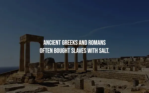 Random Facts (14 pics)