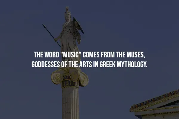 Random Facts (14 pics)