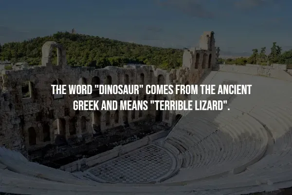Random Facts (14 pics)