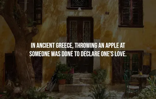 Random Facts (14 pics)