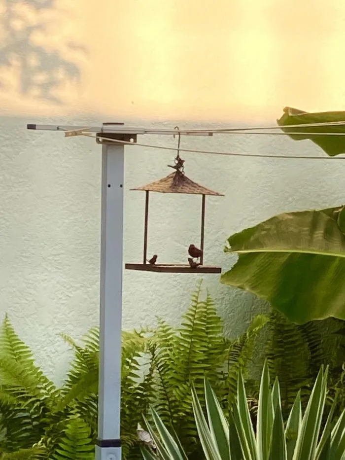 Cheeky Pets (21 pics)