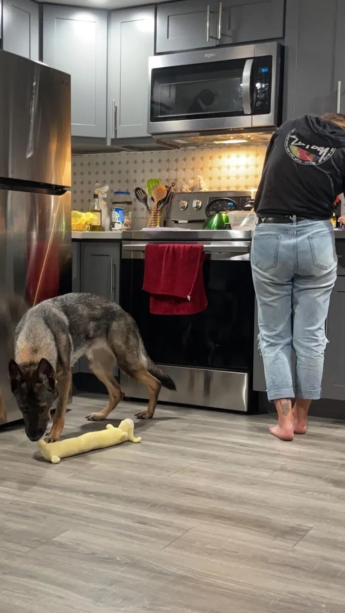 Cheeky Pets (21 pics)