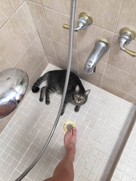 Daily Pictures. Part 1 (67 pics)