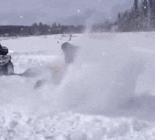 Acid GIFs, April 2 (25 gifs)