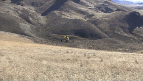 Acid GIFs, April 2 (25 gifs)