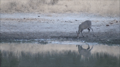 Acid GIFs, April 2 (25 gifs)